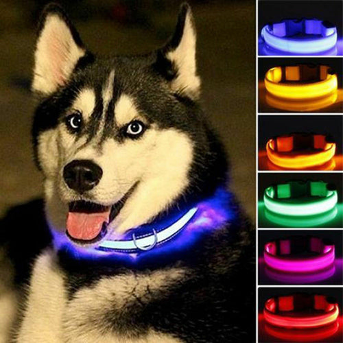 2 delt. sett med nylon LED-halsbånd til hund