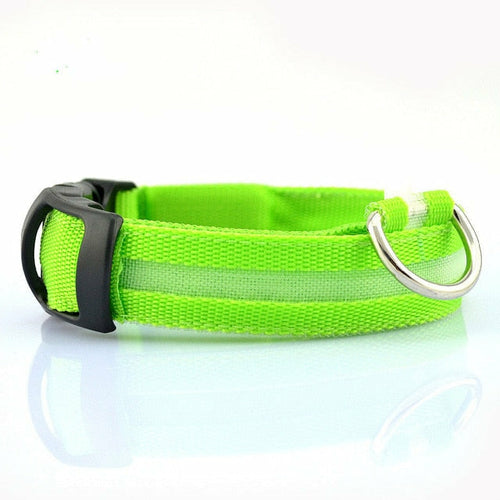 2 delt. sett med nylon LED-halsbånd til hund