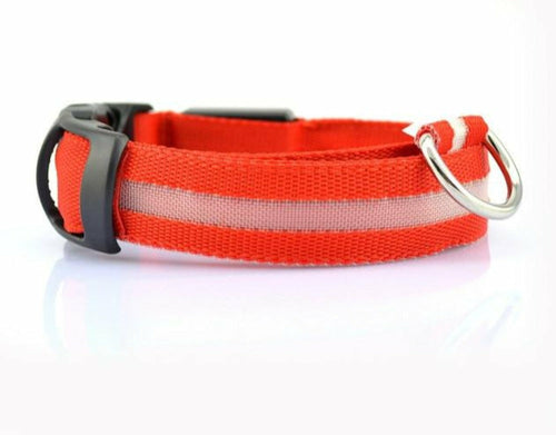 2 delt. sett med nylon LED-halsbånd til hund