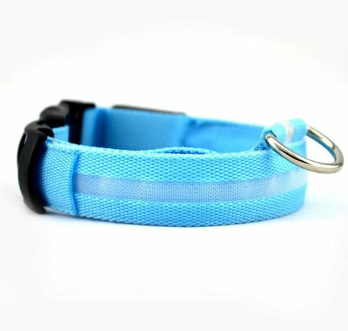 2 delt. sett med nylon LED-halsbånd til hund