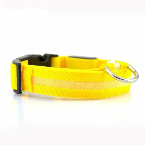 2 delt. sett med nylon LED-halsbånd til hund