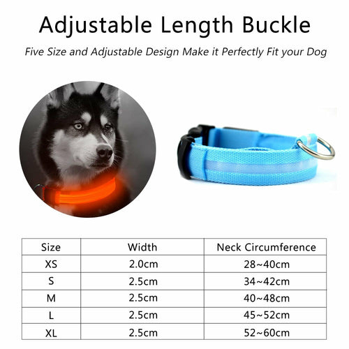 2 delt. sett med nylon LED-halsbånd til hund