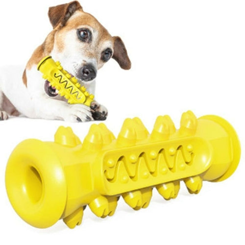 Hjernetrim IQ test til hunden