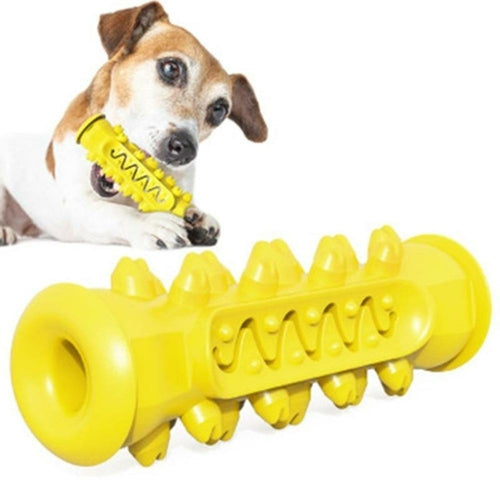 Hjernetrim IQ test til hunden