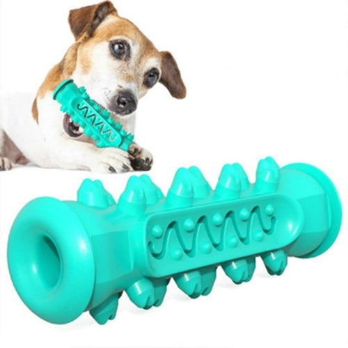 Hjernetrim IQ test til hunden